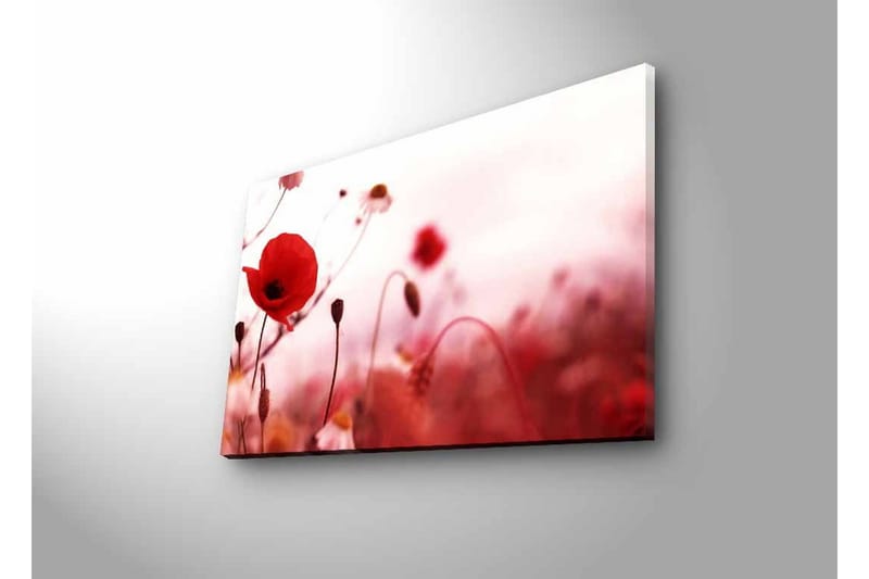 Veggdekorasjon LED-belysning Canvas Bilde - Innredning - Bilder & kunst - Lerretsbilder