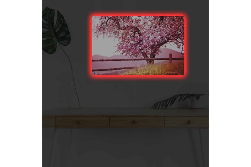 Veggdekorasjon LED-belysning Canvas Bilde - Innredning - Bilder & kunst - Lerretsbilder