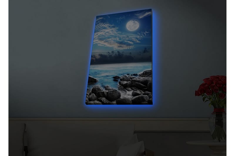 Veggdekorasjon LED-belysning Canvas Bilde - Innredning - Bilder & kunst - Lerretsbilder