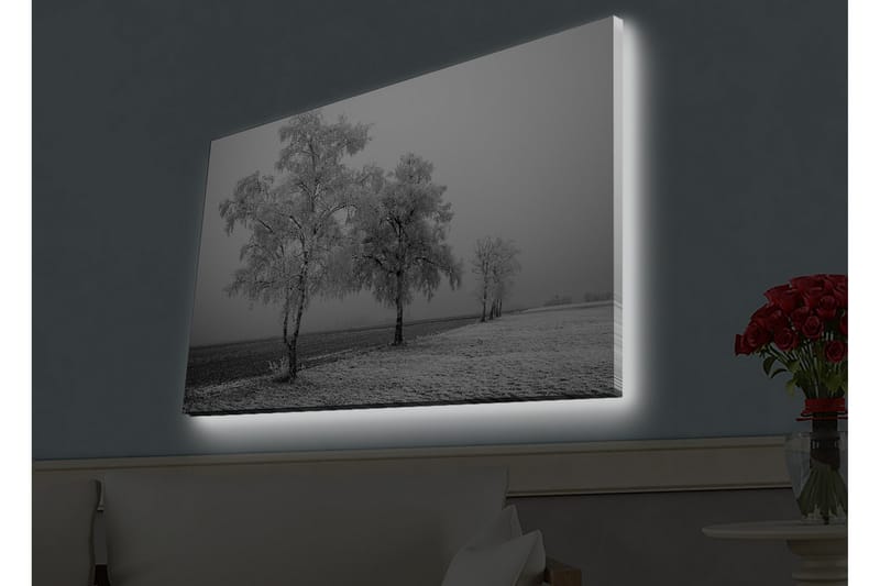 Veggdekorasjon LED-belysning Canvas Bilde - Innredning - Bilder & kunst - Lerretsbilder