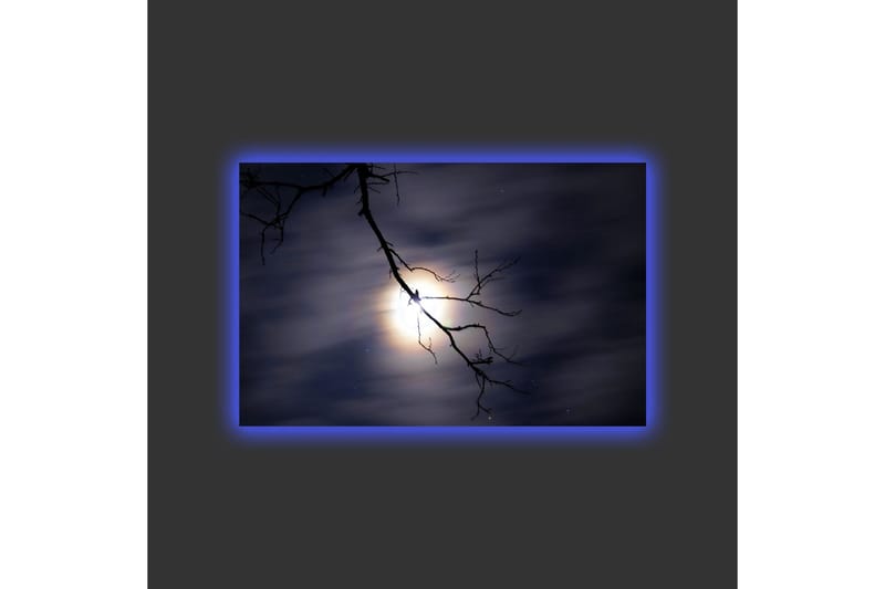 Veggdekorasjon LED-belysning Canvas Bilde - Innredning - Bilder & kunst - Lerretsbilder