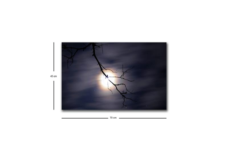 Veggdekorasjon LED-belysning Canvas Bilde - Innredning - Bilder & kunst - Lerretsbilder