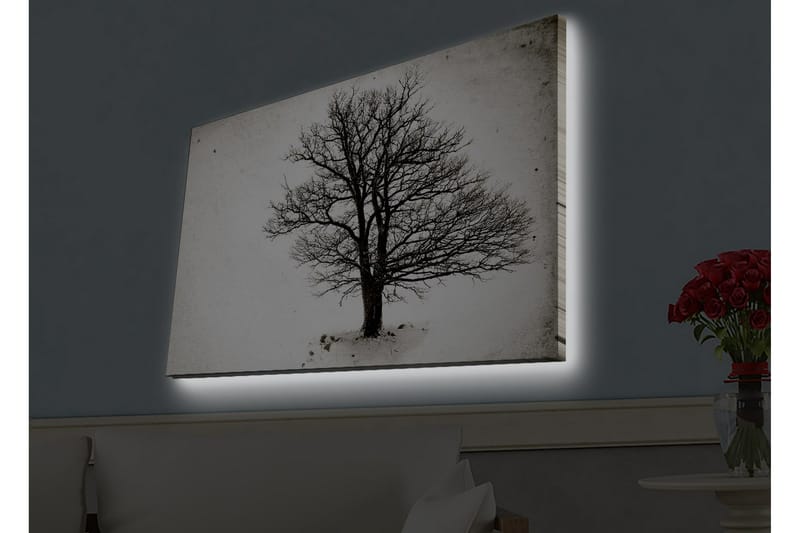 Veggdekorasjon LED-belysning Canvas Bilde - Innredning - Bilder & kunst - Lerretsbilder