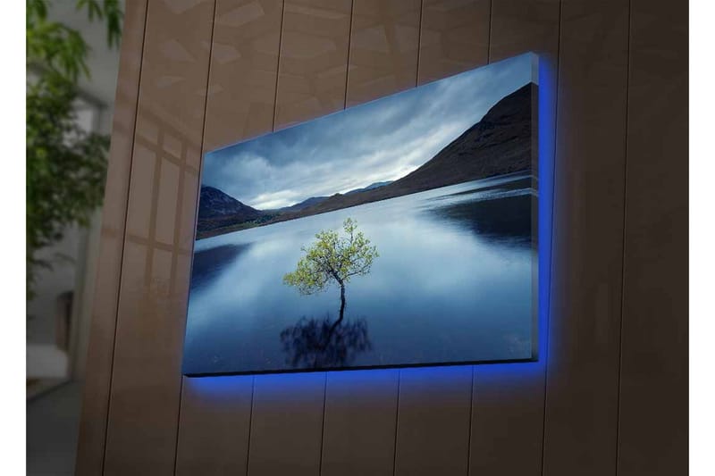 Veggdekorasjon LED-belysning Canvas Bilde - Innredning - Bilder & kunst - Lerretsbilder