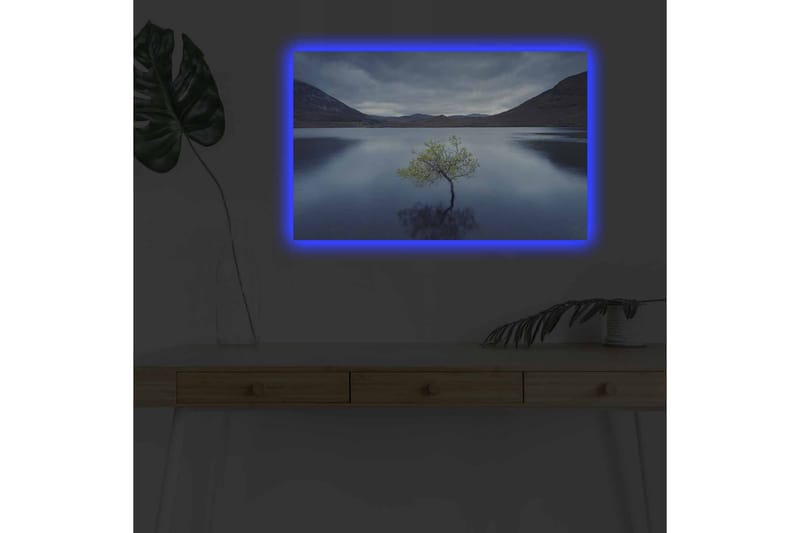 Veggdekorasjon LED-belysning Canvas Bilde - Innredning - Bilder & kunst - Lerretsbilder