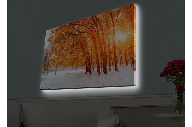 Veggdekorasjon LED-belysning Canvas Bilde - Innredning - Bilder & kunst - Lerretsbilder