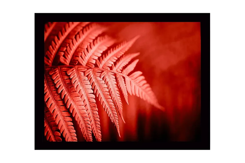 Veggdekorasjon MDF Bilde, undefined