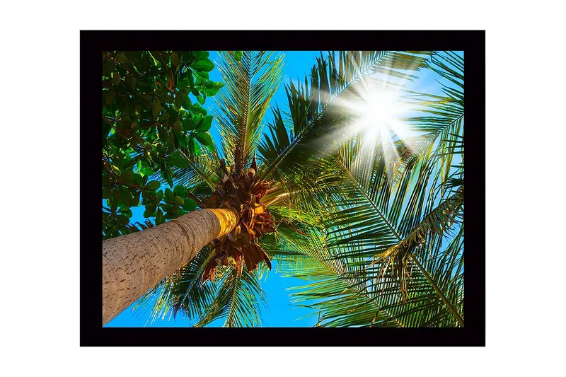 Veggdekorasjon MDF Bilde, undefined