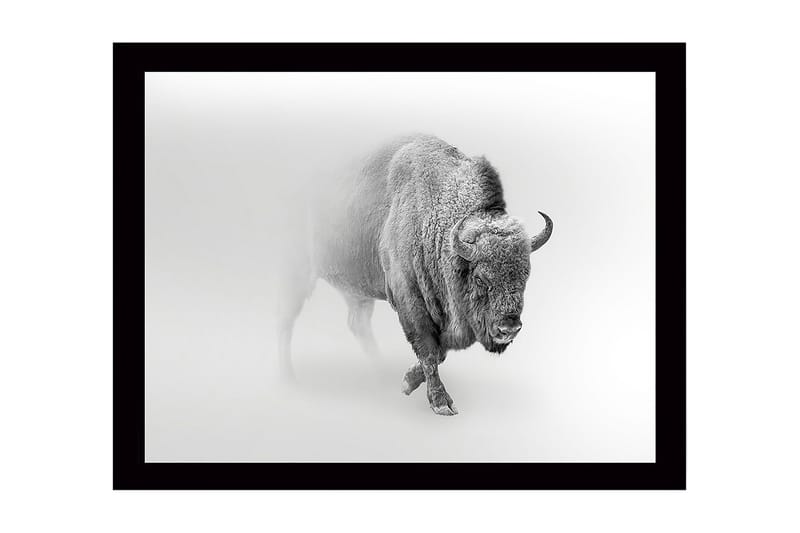 Veggdekorasjon MDF Bilde, undefined