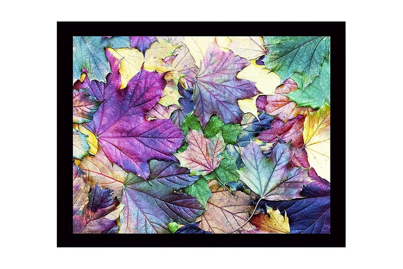 Veggdekorasjon MDF Bilde, undefined