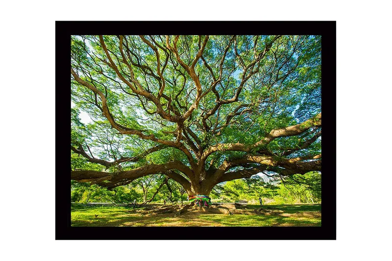 Veggdekorasjon MDF Bilde - Innredning - Bilder & kunst - Lerretsbilder