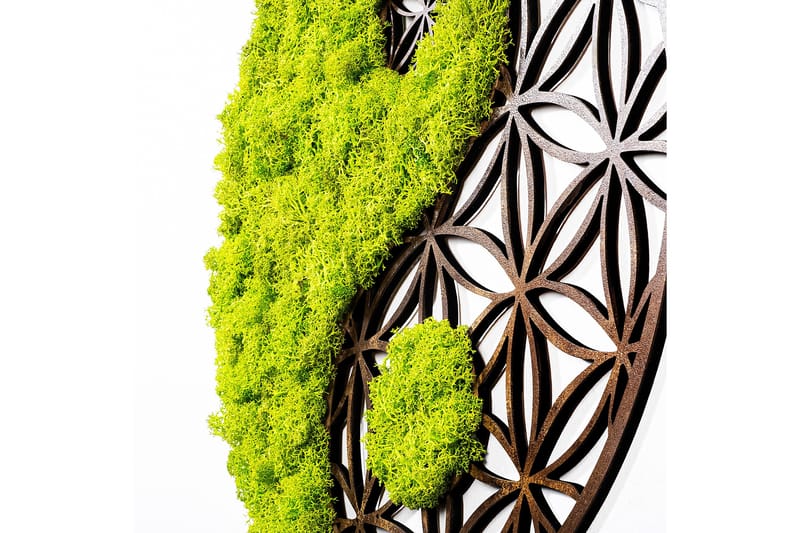 Yin Yang Canvasbilde - 44x44 cm - Innredning - Bilder & kunst - Lerretsbilder