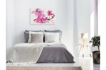 Gjør-det-selv-maleri Orkidéblomster 60x40 cm - Artgeist sp. z o. o. - Innredning - Bilder & kunst - Male selv