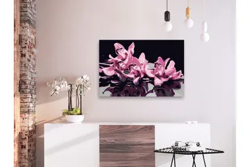 Gjør-det-selv-maleri Rosa orkidé Svart 60x40 ca. - Artgeist sp. z o. o. - Innredning - Bilder & kunst - Male selv