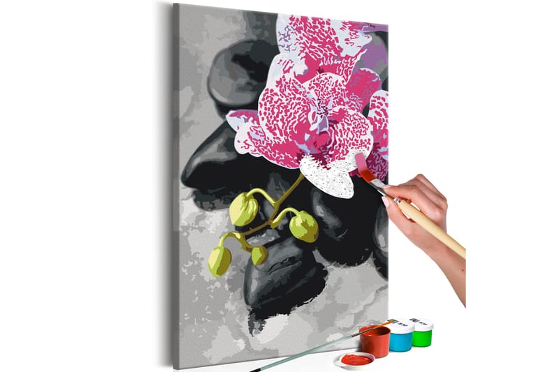 Gjør-det-selv-maleri Rosa orkide 40x60 cm - Artgeist sp. z o. o. - Innredning - Bilder & kunst - Male selv