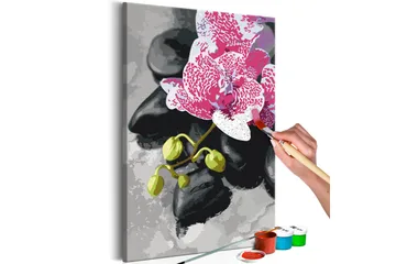 Gjør-det-selv-maleri Rosa orkide 40x60 cm - Artgeist sp. z o. o. - Innredning - Bilder & kunst - Male selv