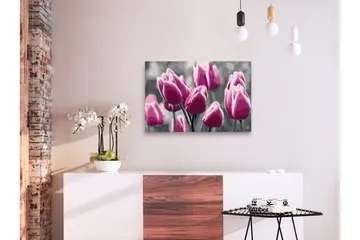 Gjør-det-selv Maleri Tulip Field 60x40 cm - Artgeist sp. z o. o. - Innredning - Bilder & kunst - Male selv