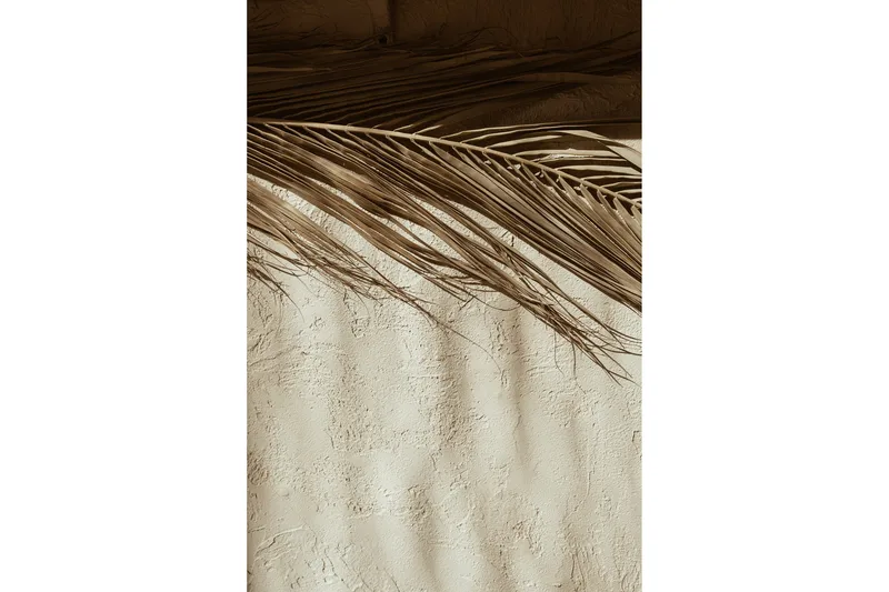 Poster Dessert 50x70 cm, Beige