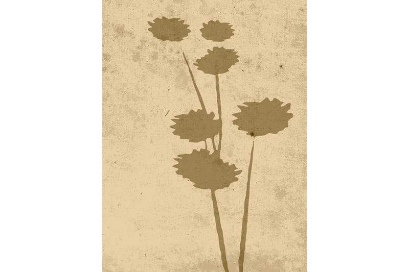 Poster Flower art 30x40 cm - Beige - Posters