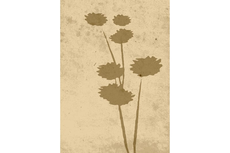 Poster Flower art 50x70 cm - Beige - Posters
