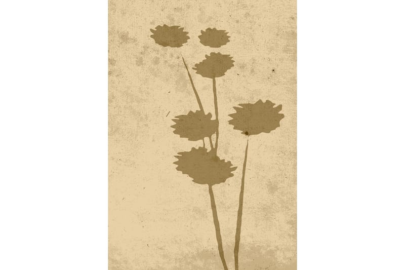Poster Flower art 70x100 cm - Beige - Posters
