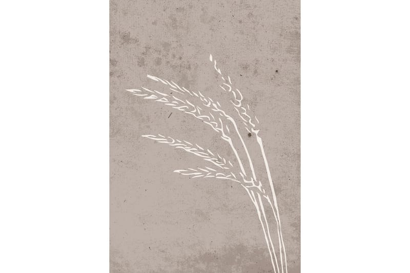 Poster Seeds 21x30 cm - Beige - Posters