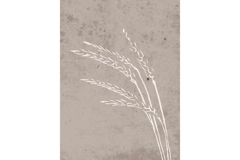Poster Seeds 30x40 cm - Beige - Posters