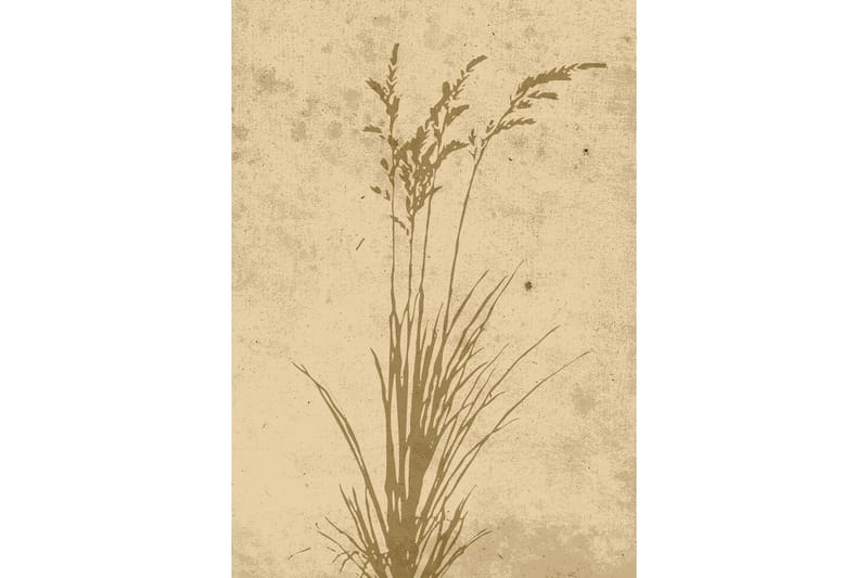 Poster Plant art 21x30 cm - Beige - Posters