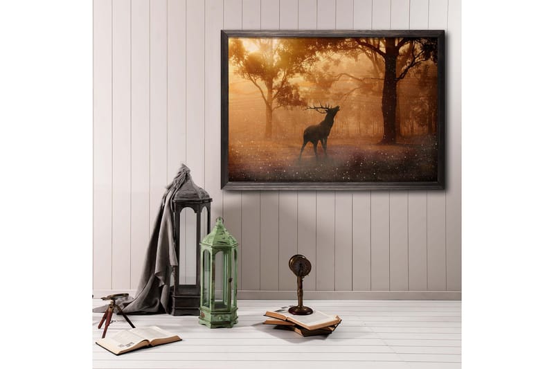 Deer At Dawn Foto Oransje/Brun - 70x50 cm - Dyreplakater - Posters