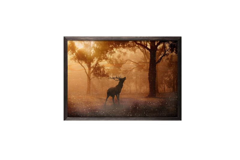 Deer At Dawn Foto Oransje/Brun - 70x50 cm - Innredning - Bilder & kunst - Posters