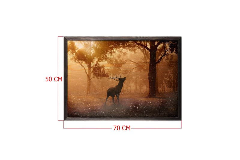 Deer At Dawn Foto Oransje/Brun - 70x50 cm - Innredning - Bilder & kunst - Posters