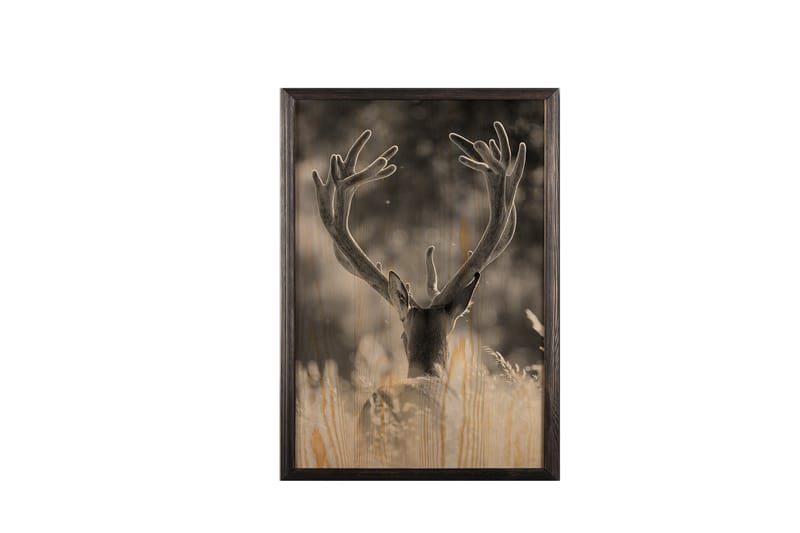 Deer In The Field Painting/Foto Grå/Beige - 50x70 cm - Innredning - Bilder & kunst - Posters