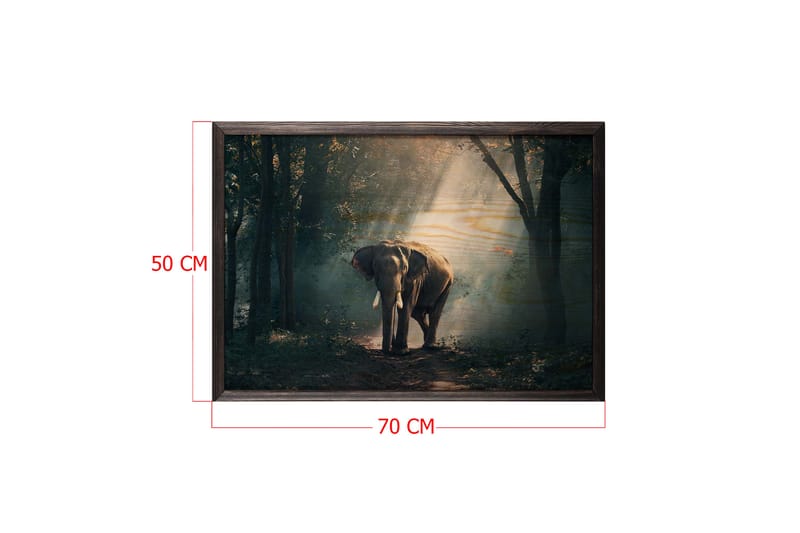 Elephant In The Djungle Foto Grønn/Beige - 70x50 cm - Innredning - Bilder & kunst - Posters