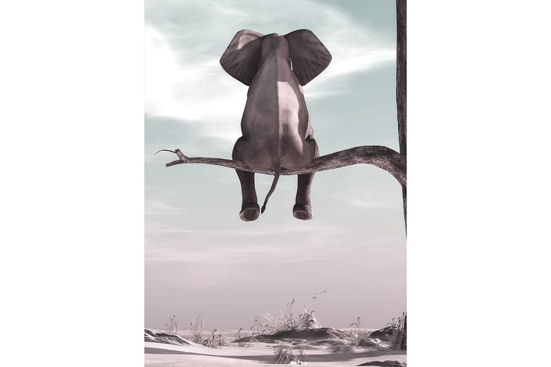 Elephant Poster 50x70 cm - Multifarge - Posters