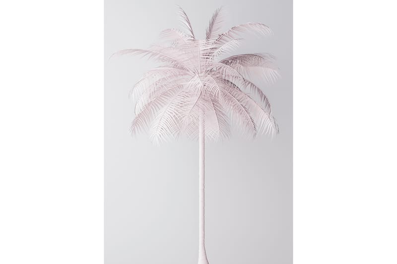 Palmtree Foto Rosa/Hvit - 50x70 cm - Posters - Posters barnerom