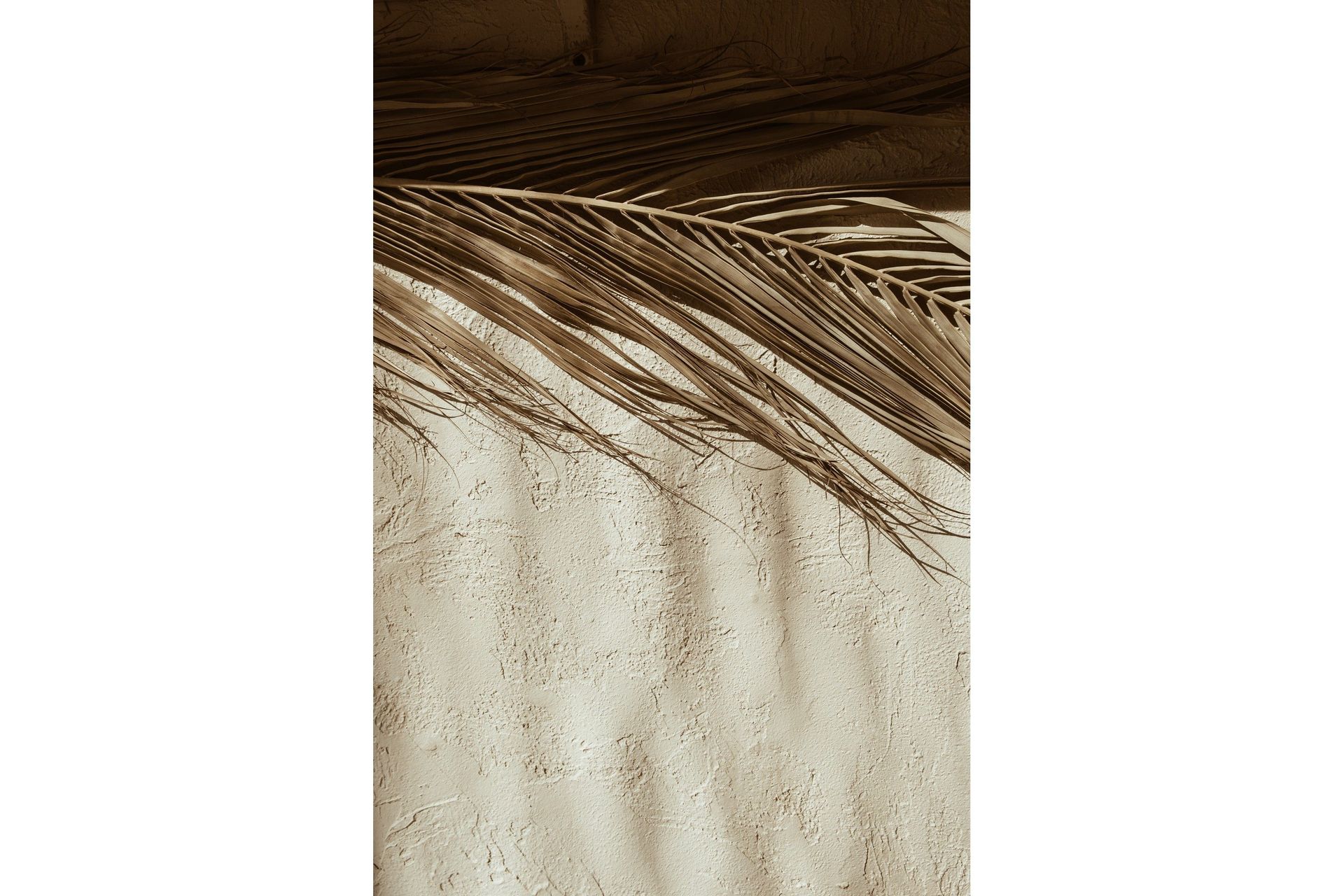 Poster Dessert 30x40 cm - Beige