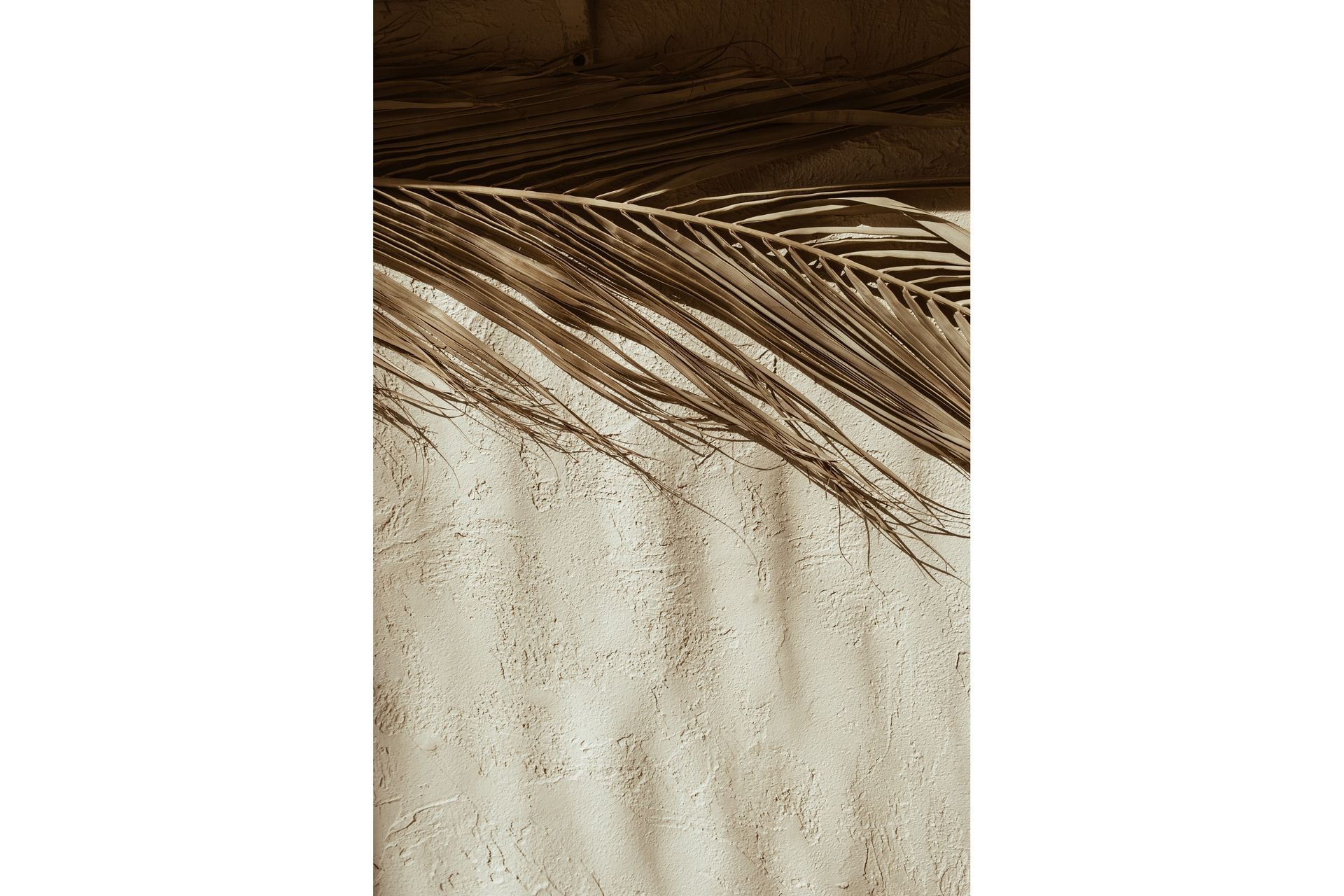 Poster Dessert 50x70 cm - Beige - Innredning - Bilder & kunst - Posters