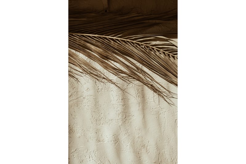 Poster Dessert 50x70 cm - Beige - Innredning - Bilder & kunst - Posters