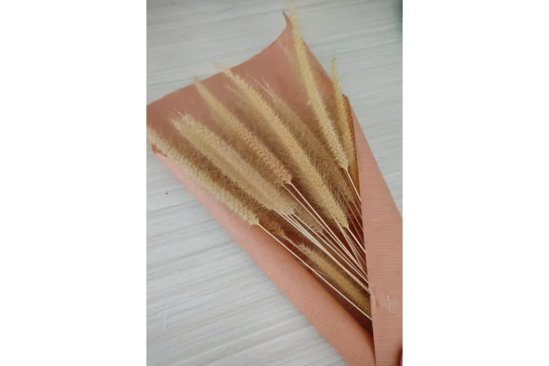 Poster Dry flowers 21x30 cm, Lyserød/Beige