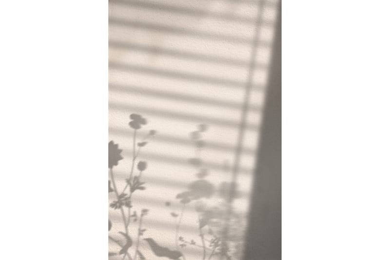 Poster Flower Shadow 21x30 cm - Hvid - Innredning - Bilder & kunst - Posters