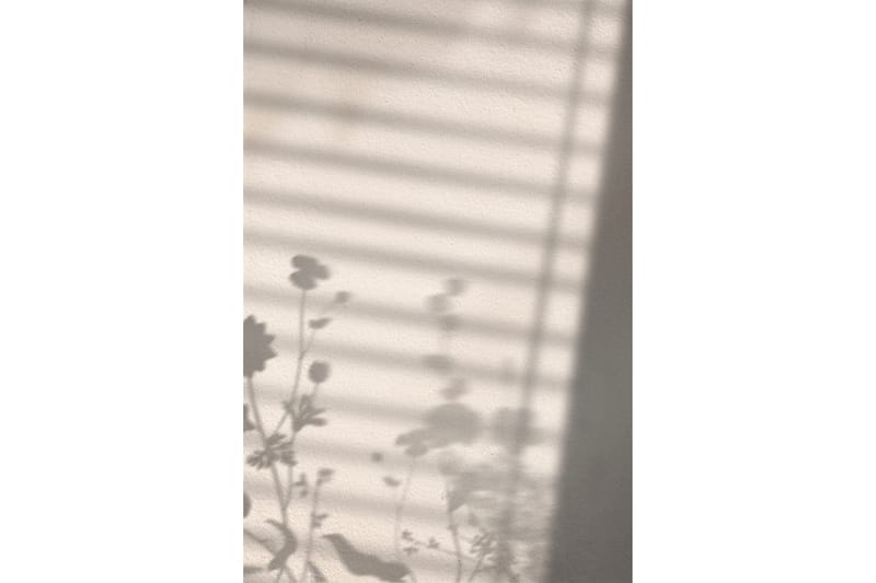 Poster Flower shadow 21x30 cm - Hvit - Posters