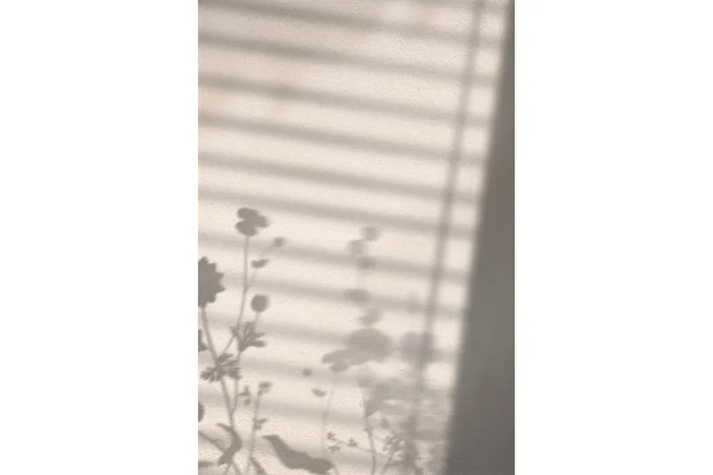 Poster Flower Shadow 50x70 cm, Hvid
