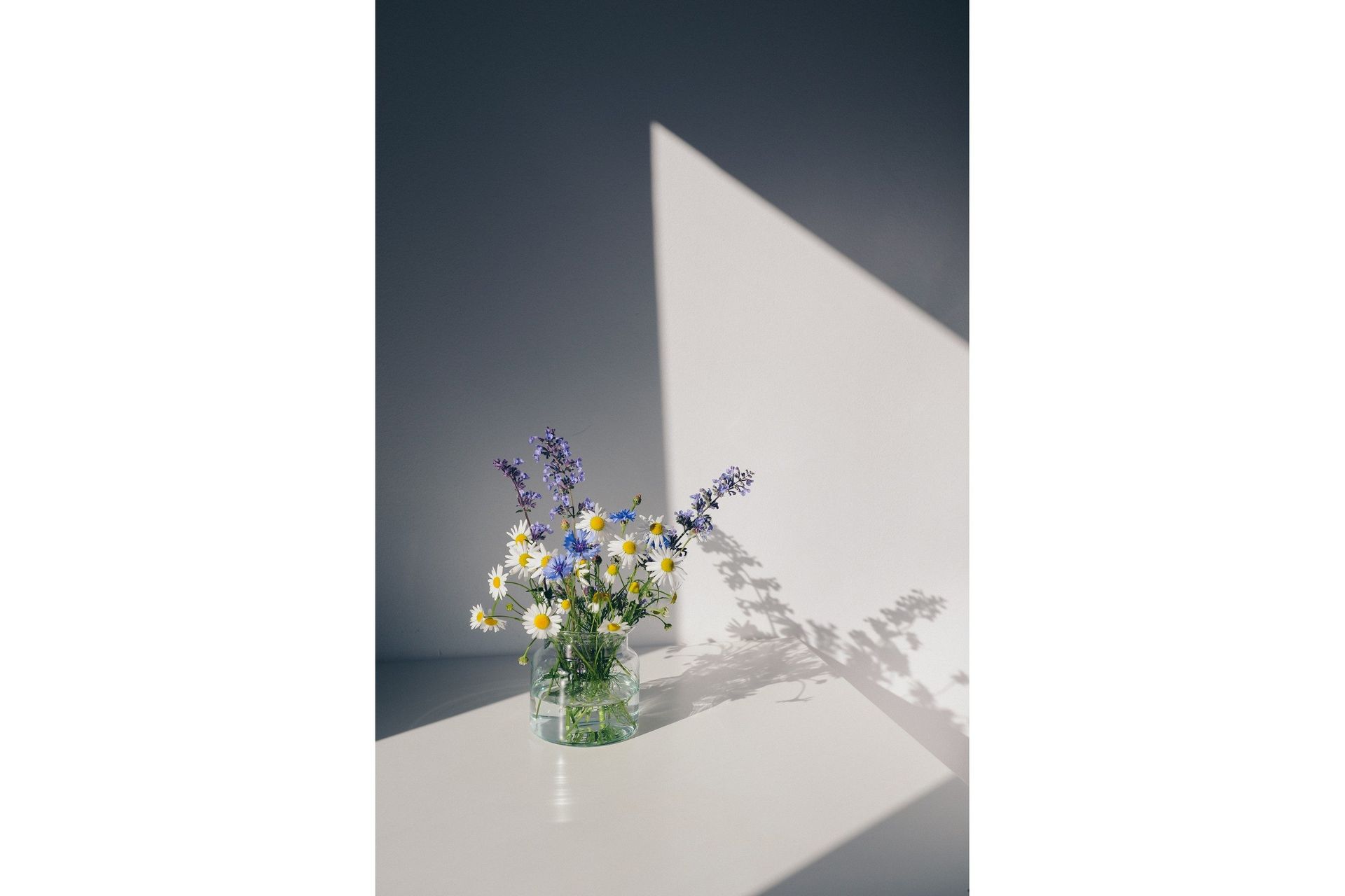Poster Flowers 50x70 cm - Hvid