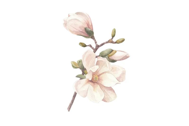 Poster Hand made 50x70 cm, Lyserød/Hvid