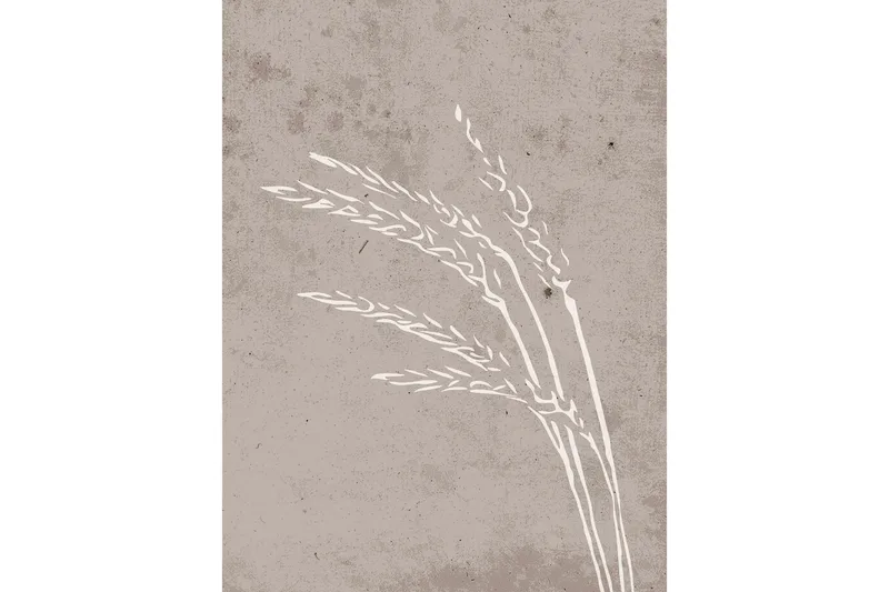 Poster Seeds 30x40 cm, Beige