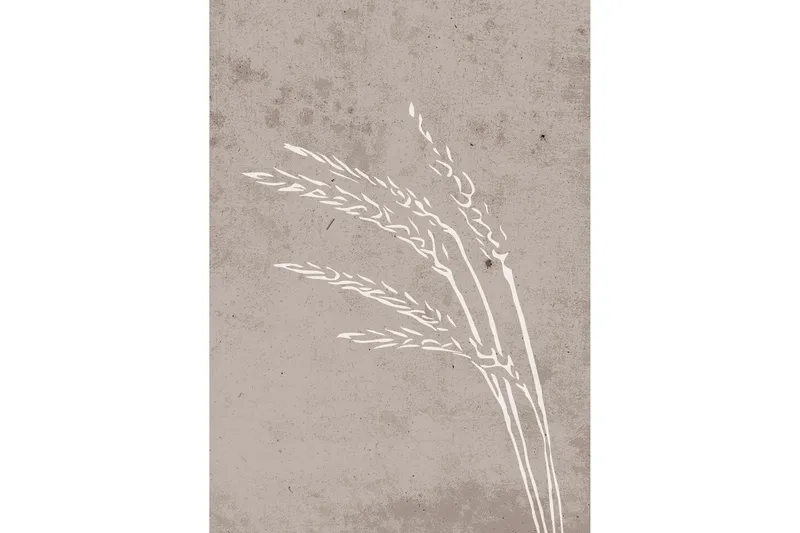 Poster Seeds 50x70 cm, Beige