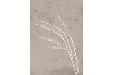 Poster Seeds 70x100 cm - Beige - Innredning - Bilder & kunst - Posters