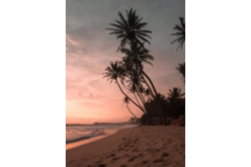 Poster Summer 50x70 cm, Lyserød