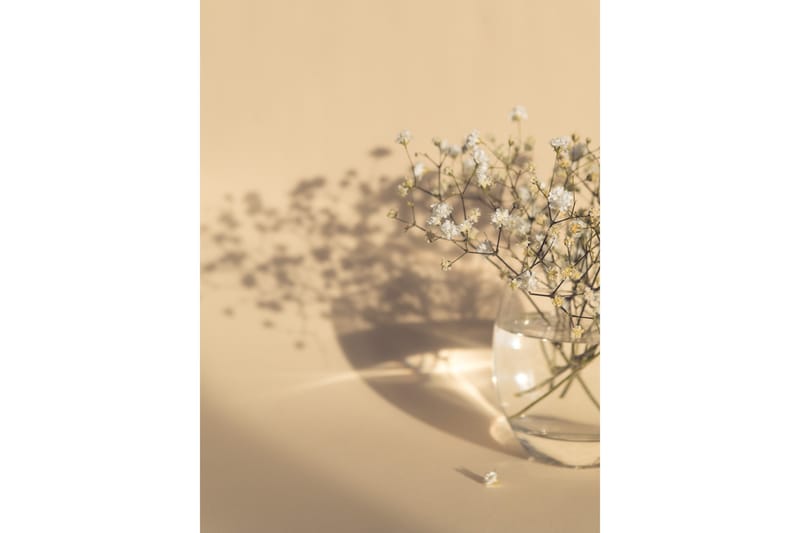 Poster white flowers 50x70 cm - Beige - Posters