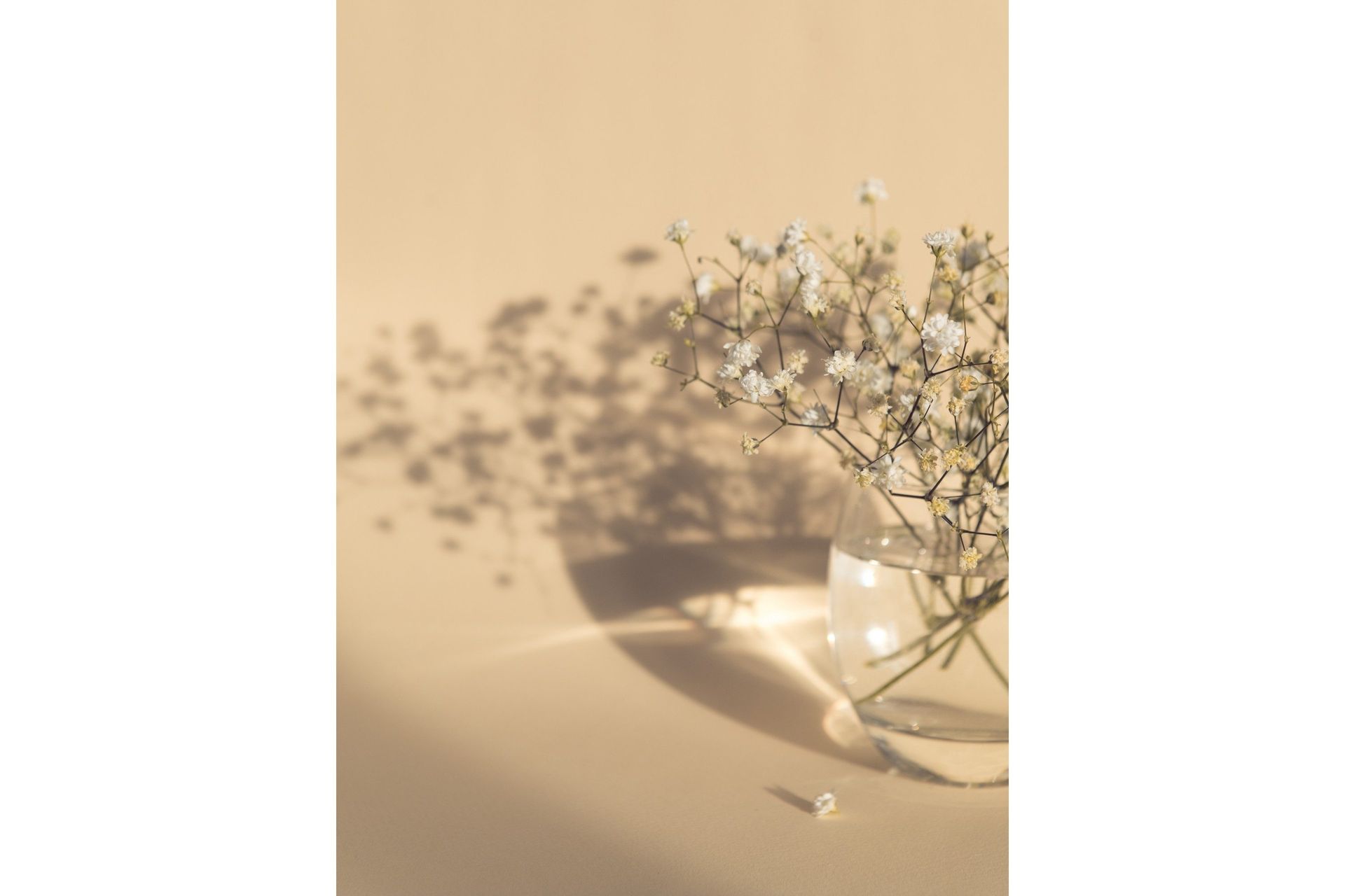 Poster White Flowers 70x100 cm - Beige